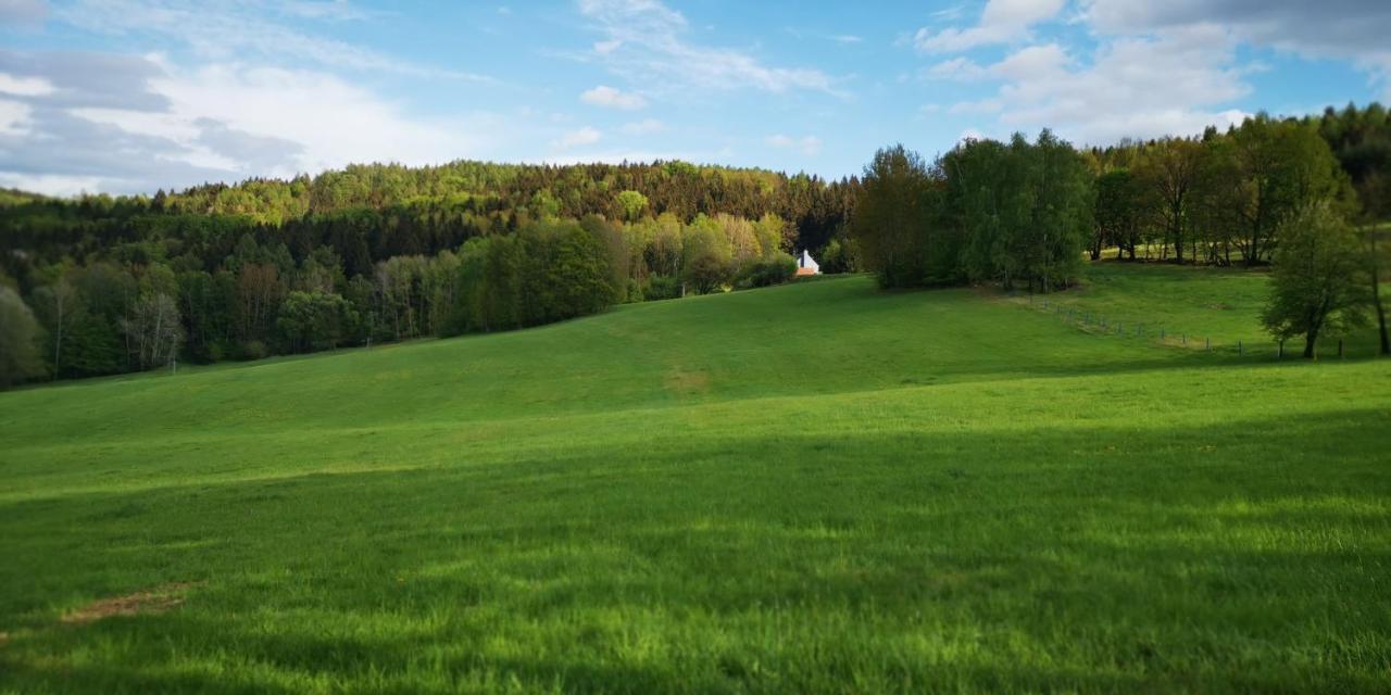 Ferienwohnung Mit Blick Ins Grune Sebnitz Exteriér fotografie